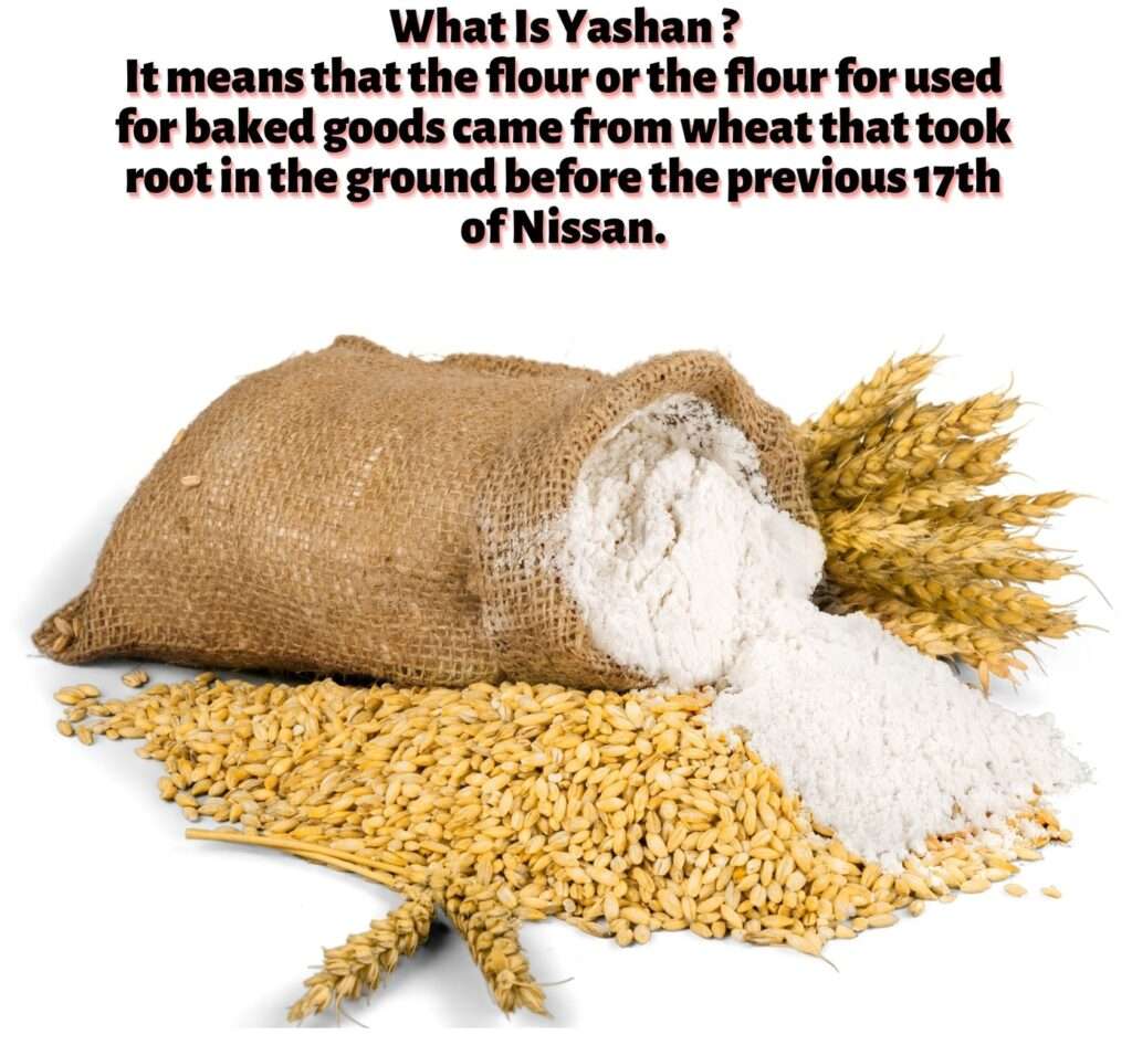 What Is Yashan?
It means that the flour or the flour for used for baked goods came from wheat that took root in the ground before the previous 17th of Nissan.