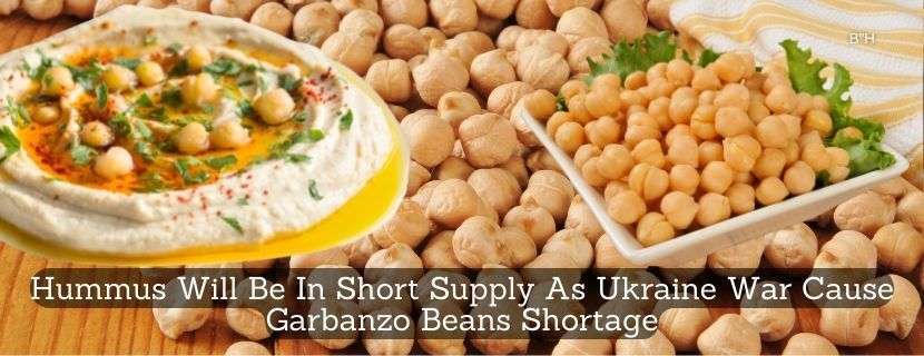 Hummus Will Be In Short Supply As Ukraine War Cause Garbanzo Beans Shortage