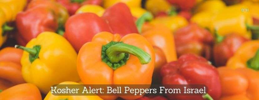 Kosher Alert Bell Peppers From Israel